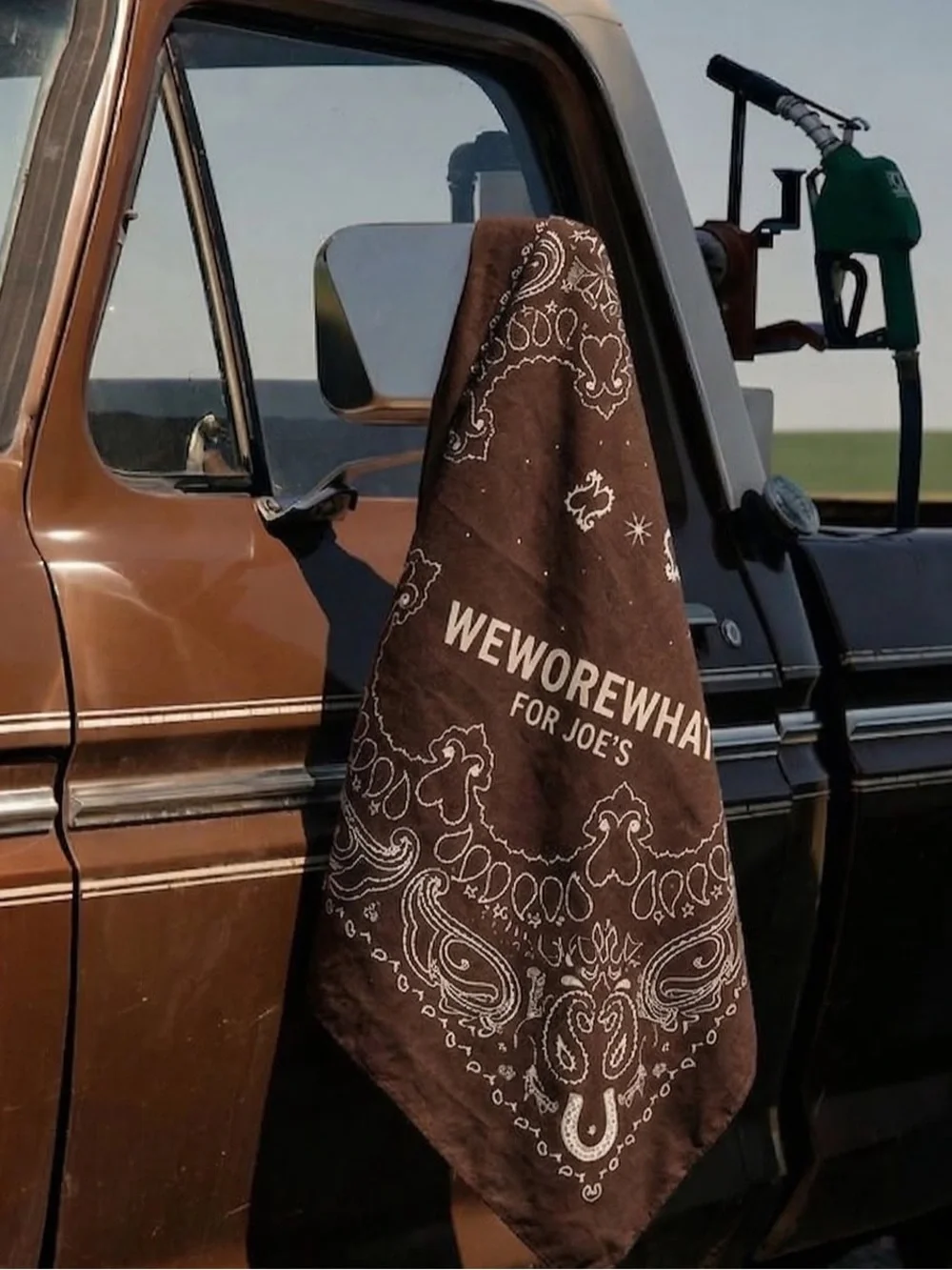 NWT Limited Edition WeWoreWhat x Joe’s Jeans Bandana Brown & White Western Print
